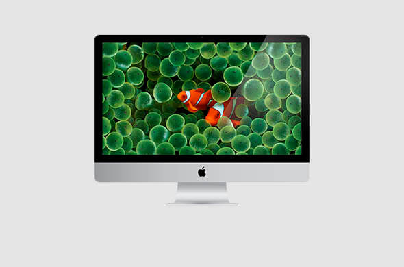 Reparar iMac Retina 5K <br/>(27″- Finales 2015)